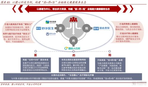 中金公司互聯(lián)網(wǎng)醫(yī)藥產(chǎn)業(yè)報(bào)告 醫(yī)藥零售高毛利時(shí)代謝幕，全域互聯(lián)網(wǎng)銷售新紀(jì)元已來