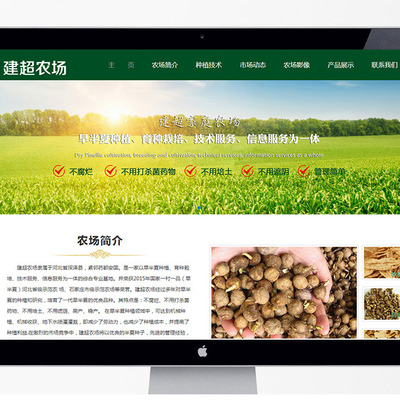 石家莊企業數字化轉型 網站建設、優化與網絡推廣一站式指南
